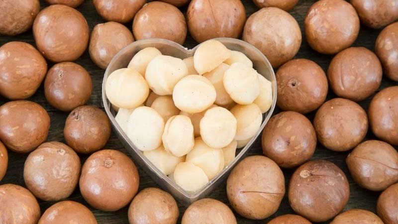 Protein và axit amin thiết yếu
