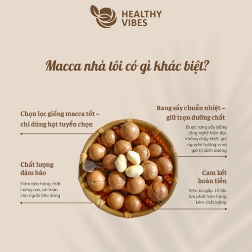 Hạt Macca - Healthyvibes