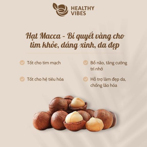 Hạt Macca - Healthyvibes