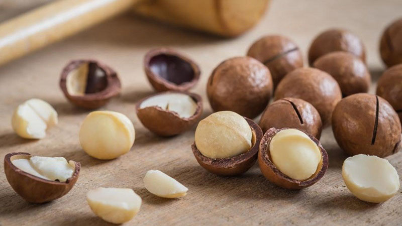 Hạt macca có tốt không? Ai nên ăn?