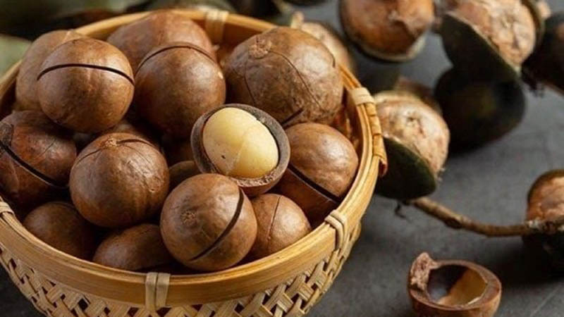 Tác dụng của hạt macca đối với sức khỏe não bộ