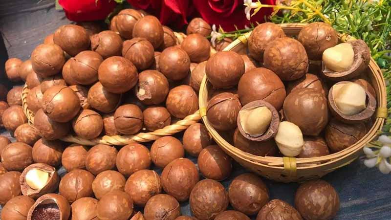Lưu ý khi chọn mua hạt macca chất lượng